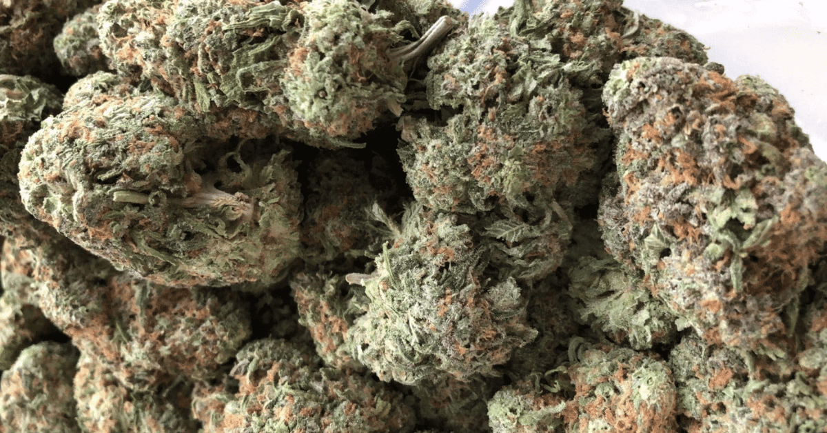 Purchasing in a weed delivery winnipeg can provide an assurance post thumbnail image