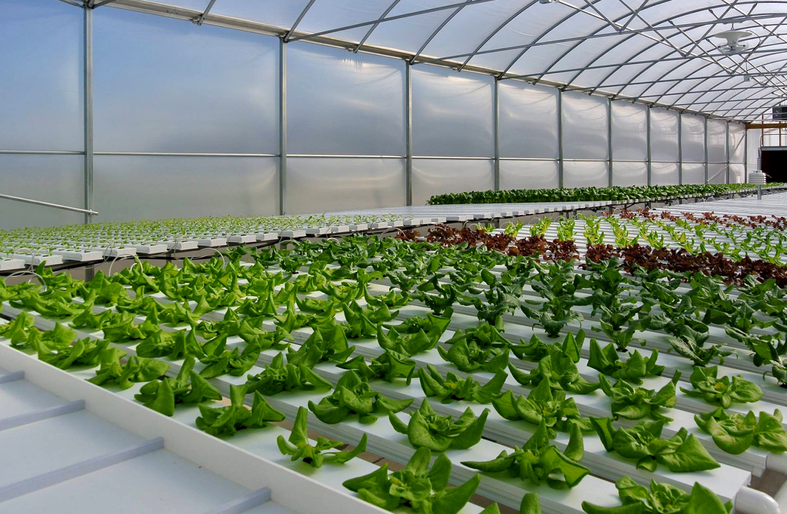 Get Green House Technical Details Tips Here post thumbnail image