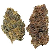 THCA Flower for Sale: An Organic Remedy for Chronic Ache and Inflammation post thumbnail image