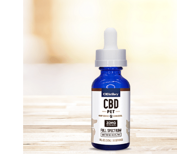 The way to Keep Secure When Consuming Cbd for dogs post thumbnail image