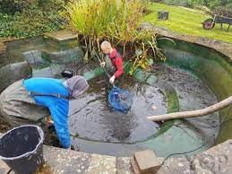 Garden Pond Cleaning: Maintaining Natural Beauty post thumbnail image